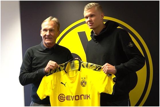 主题很清晰 主题很清晰